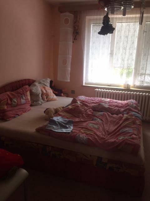 Apartmán Dolní Bukovsko Exterior foto
